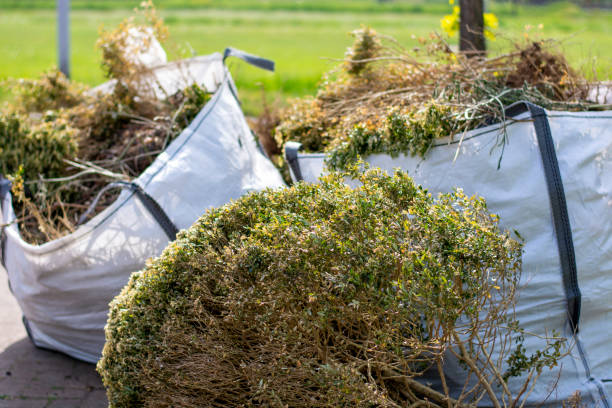 Best Appliance Removal Near Me  in North Canton, OH